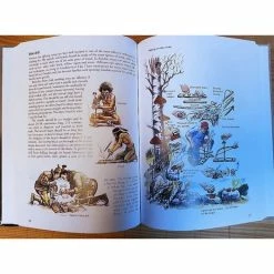 Casström Outdoors The Scandinavian Way - Survival Skills By Lars Fält 601145 -Tools Store Online 63834 CM601145 03